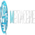 metacene游戏